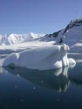 Icebergs were best in calm seas