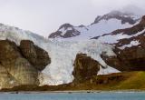 Gold Harbor Glacier and King Penguin colony