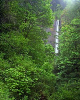 Latourell Falls