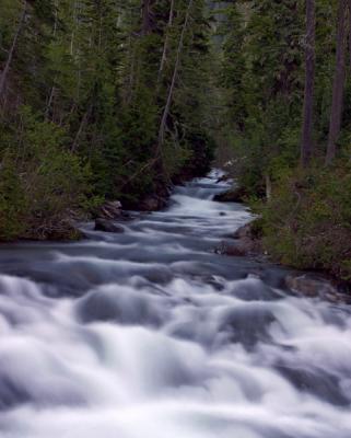 Rainier-Waterfall.jpg