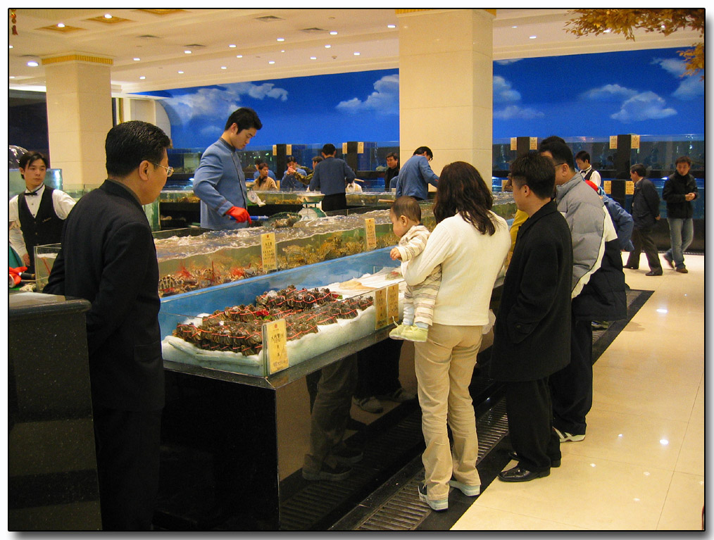 Fresh seafood, Tianjin restuarant