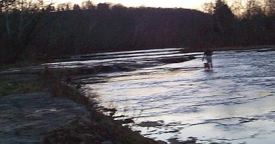 Biscuit and Chris enjoy a quick wade through Benson Creek