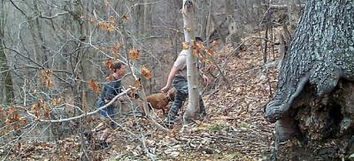 Chris, Biscuit and the return of the TreeMan