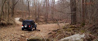 Creekbed