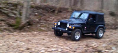Creekbed
