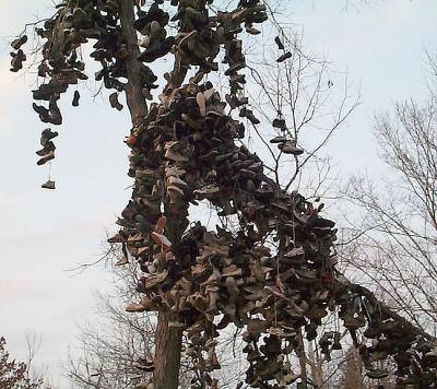 Shoe Tree