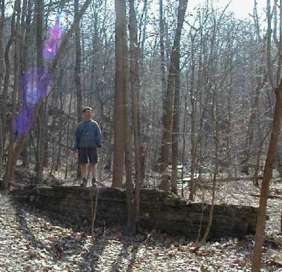 Chris enjoying the woods