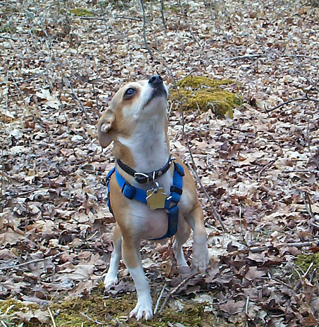 Im too sexy for my harness...