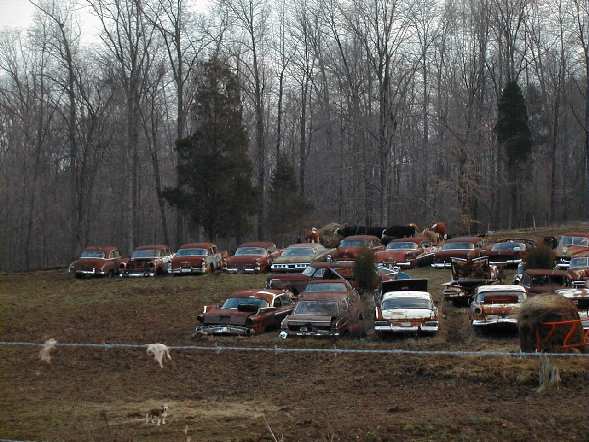 Old old old old cars...junkyard doggy