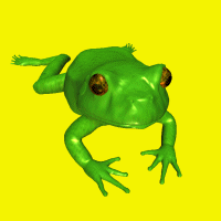 Animated Frogs
