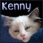 Kennykid-yvonne.gif