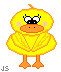 kennyduckywings-jeannine.gif