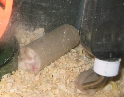 tubular!
