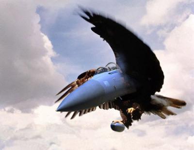 eagle_fighter.jpg