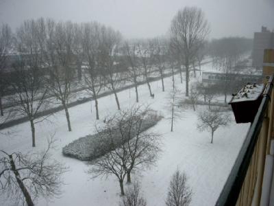 Snow in front, Febr. 2007