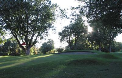 Meadowbrooke golf course - sun peeking through trees