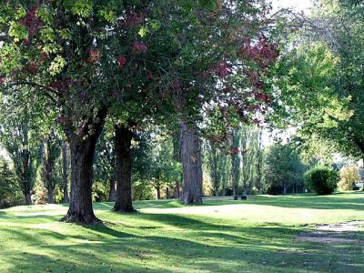 Meadowbrooke golf course - afternoon shadows