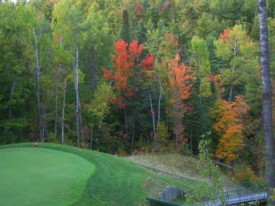 Fall colours on back 9
