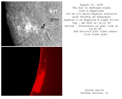 Sun in H-alpha, August 31, 2002