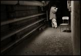 Shootingdark