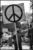 Peace-MissingPieces