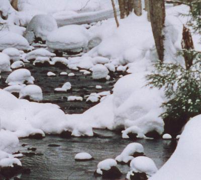 millerbrook