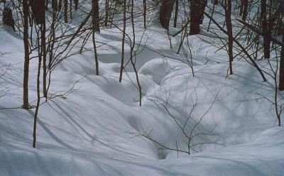 South of The Winooski