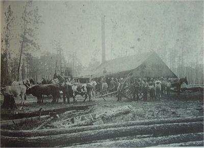 Bill Willcox's Saw Mill On Ocmulgee River
