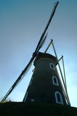 DSCF0203.jpg
