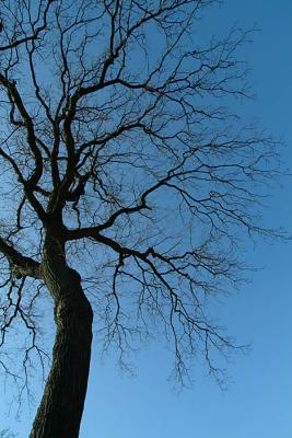 DSCF0210.jpg