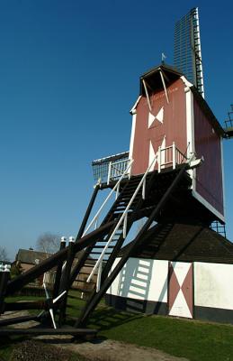 DSCF0264.jpg