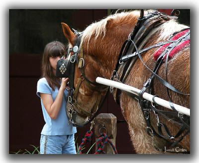 u24/jarrell/medium/14497855.TheHorseWhisperer.jpg