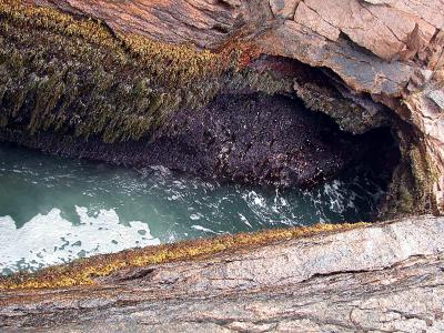 Acadia Thunder Hole 