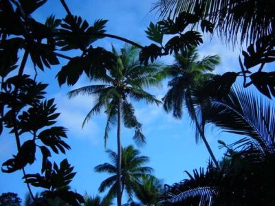 Fiji