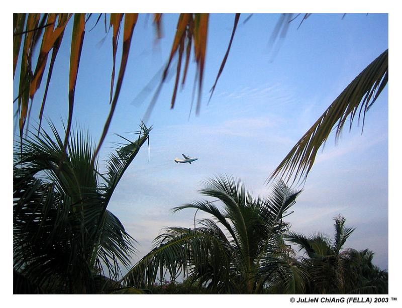 Till its too bright... so I start taking aeroplanes instead... haha!