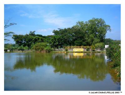 Compromise between a bluer sky or more visible reflection.