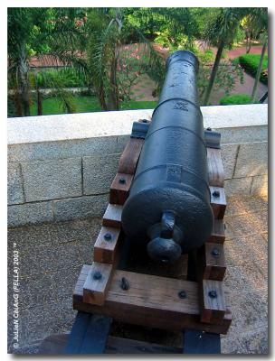 The Cannon