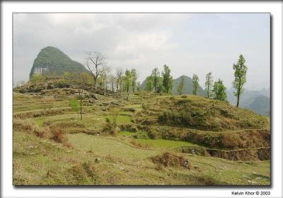 Viewing from Yulin Village