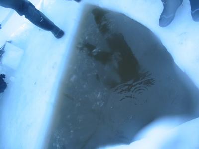 The oil floats on the surface