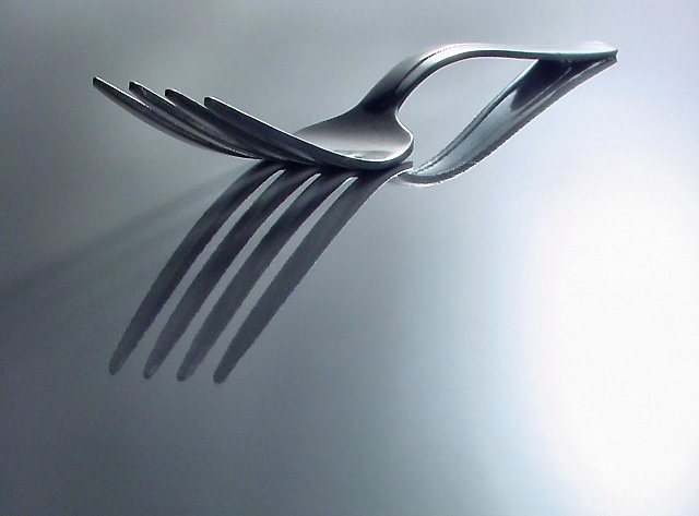 fork study
