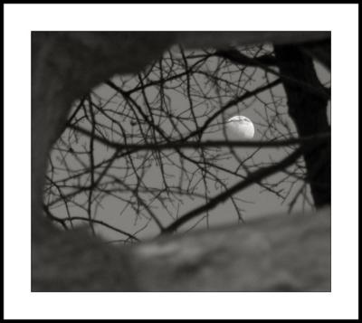 Cutler Park 3/12/03