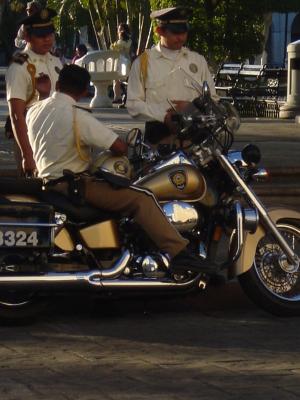 u24/liammu/medium/14237182.Shiney.jpg