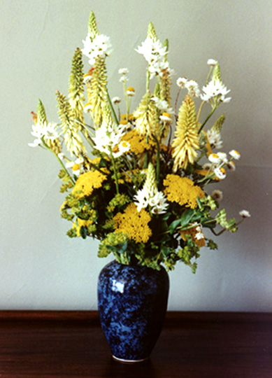 Yarrow