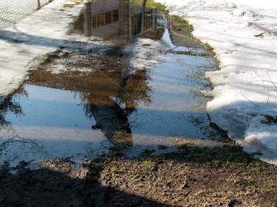 The Thaw_2203.jpg