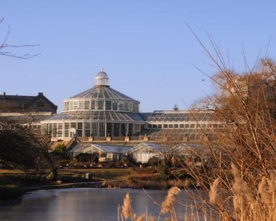 The Botanic Gardens in Copenhagen