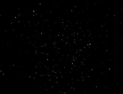 u24/m_figenwald/medium/14503920.19.03.03023copie.jpg