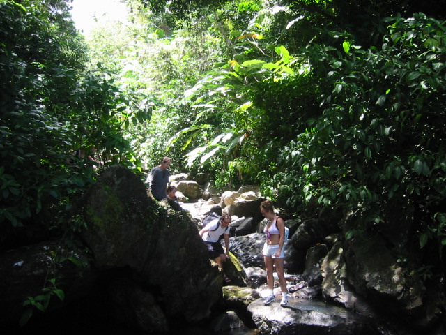 El Yunque rain forest