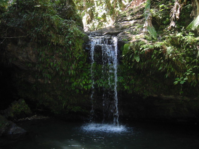 El Yunque rain forest