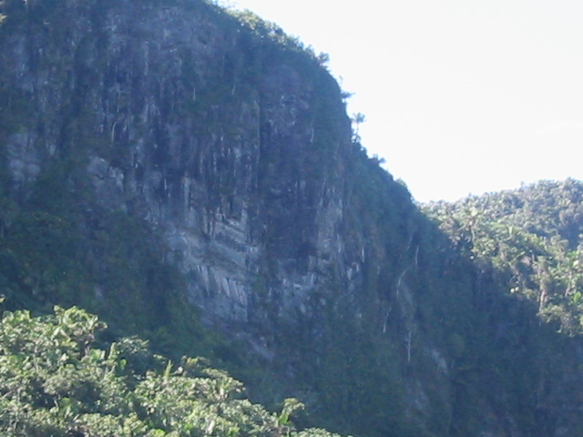El Yunque rain forest