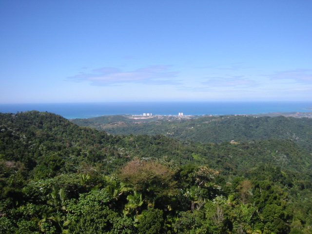 El Yunque rain forest